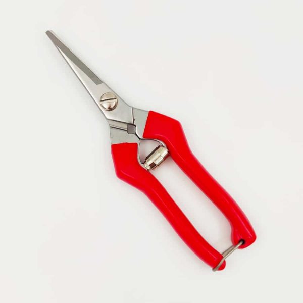 מזמרת-ענפונים-ועלים