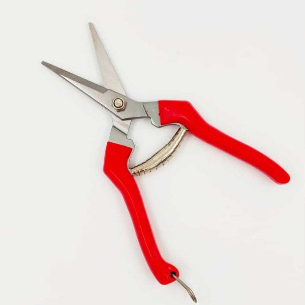 מזמרת-ענפונים-ועלים2