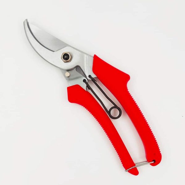 מזמרת ענפים