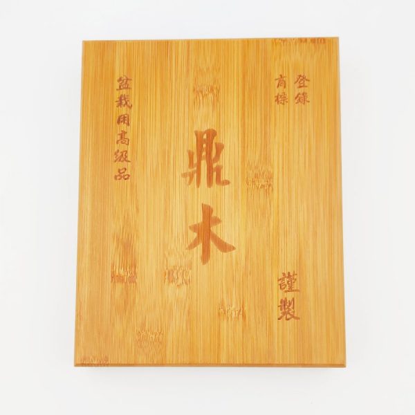 סט כלי גילוף לבונסאי